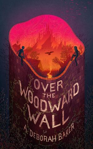 Over the Woodward Wall #1 Free PDF Download