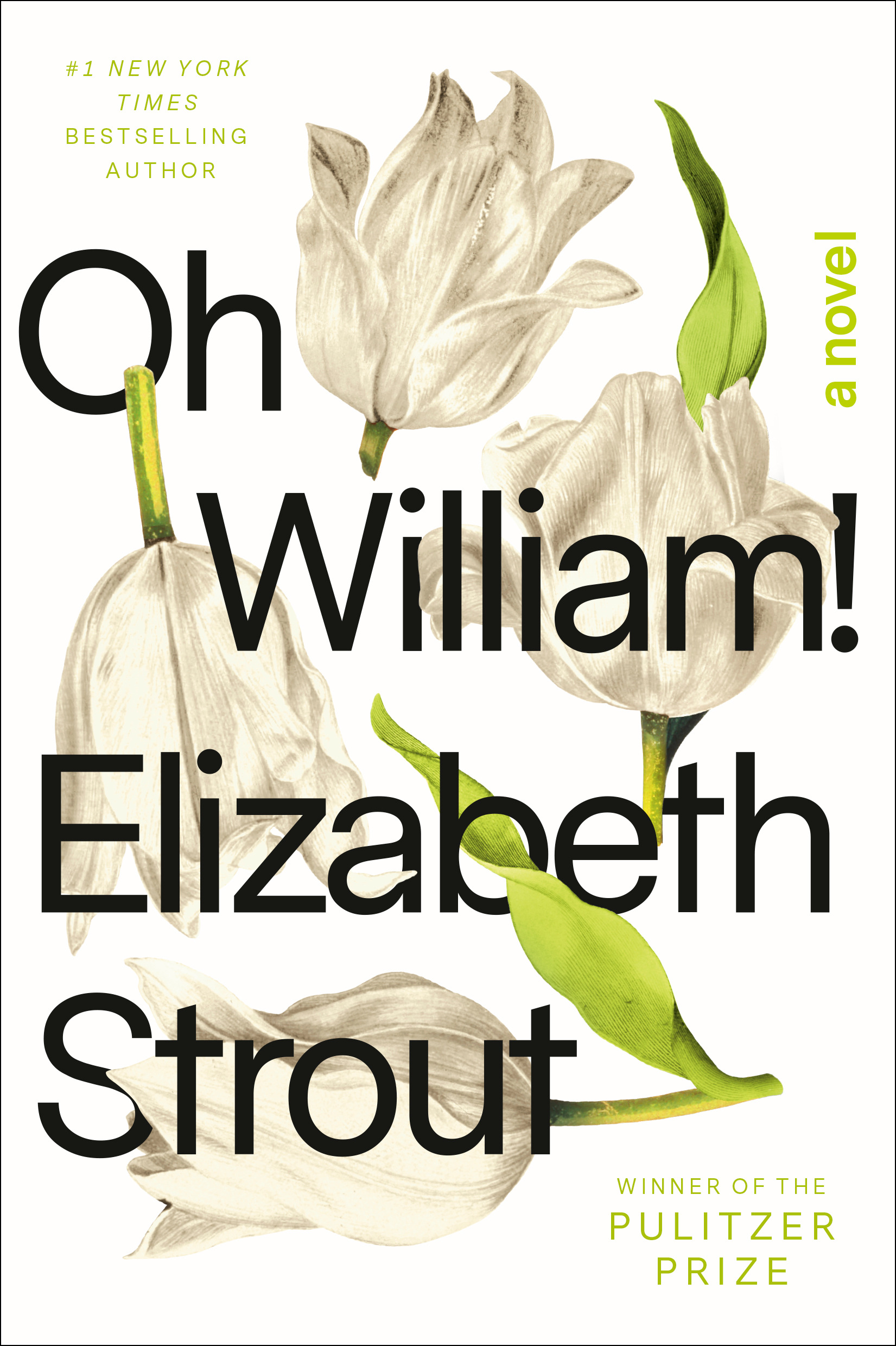 Oh William! (Amgash #3) Free PDF Download