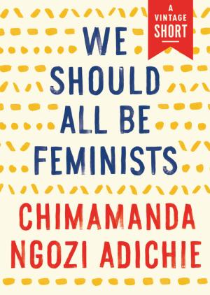 We Should All Be Feminists Free PDF Download