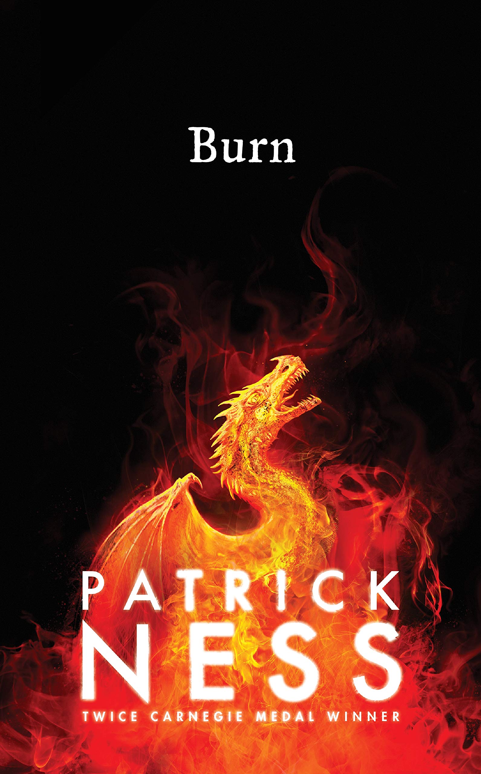 Burn by Patrick Ness Free PDF Download