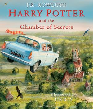 Harry Potter and the Chamber of Secrets #2 Free PDF Download