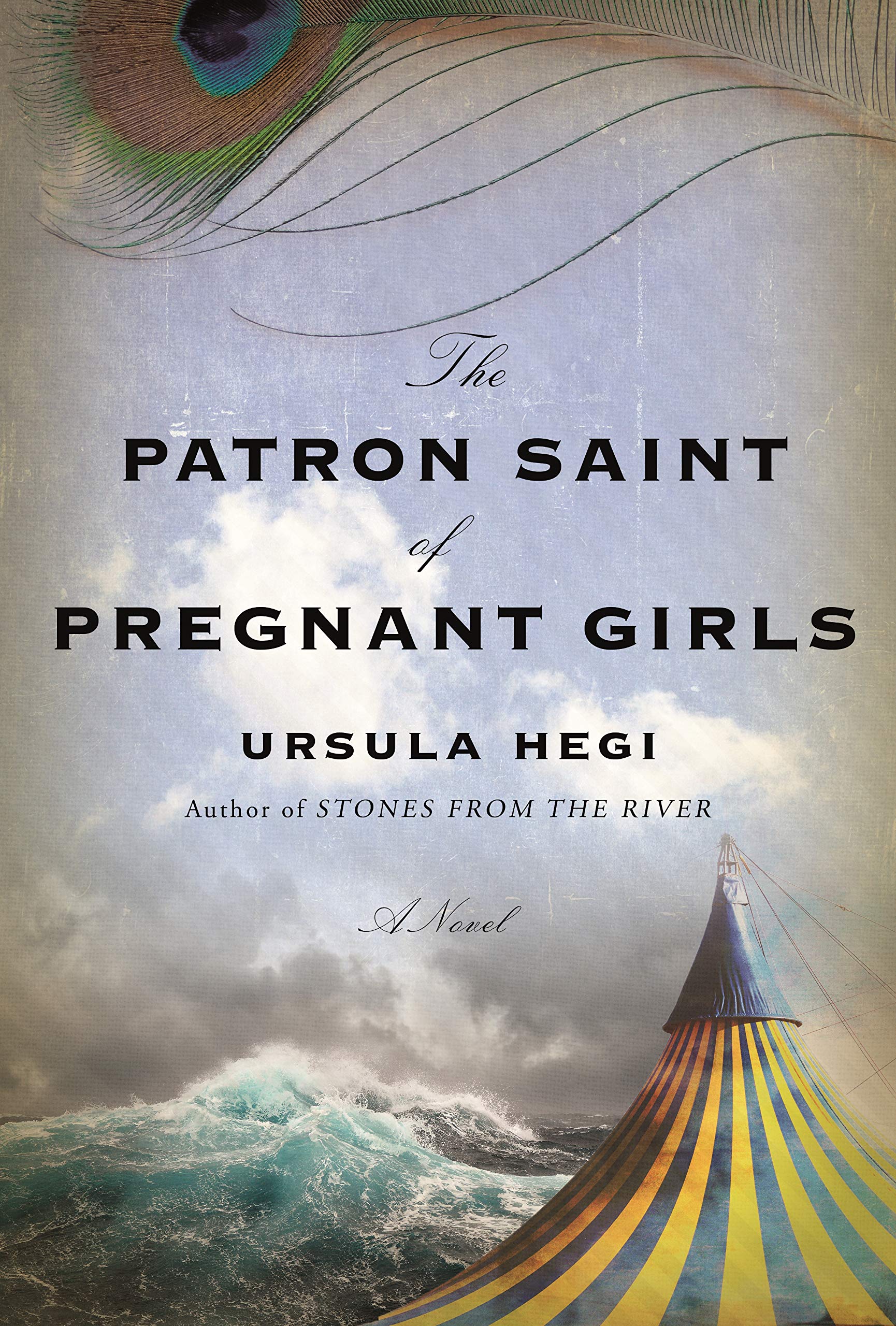 The Patron Saint of Pregnant Girls Free PDF Download