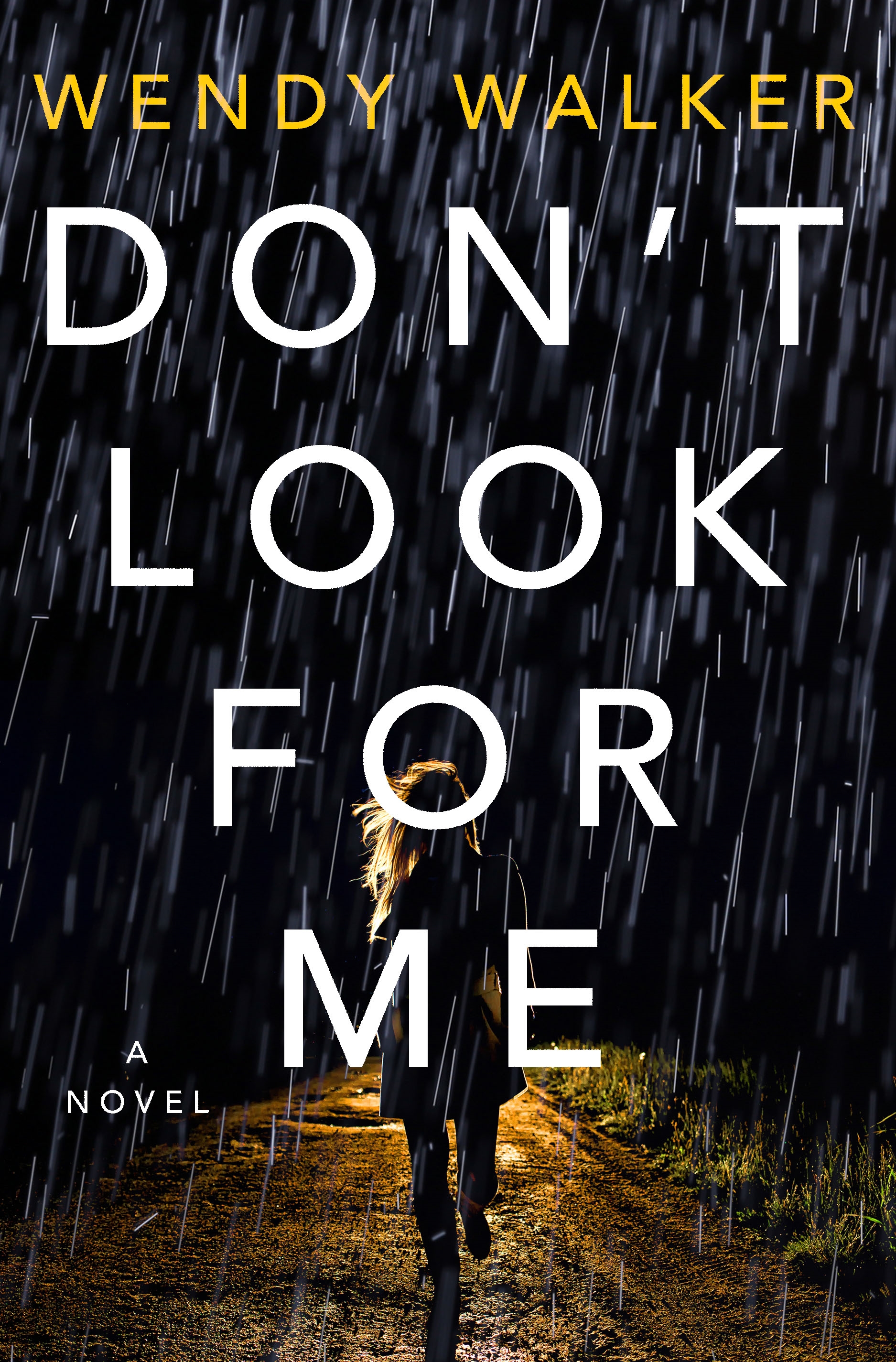 Don't Look for Me Free PDF Download