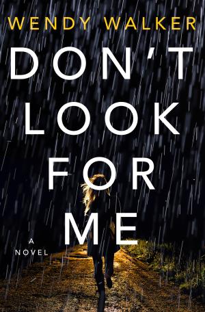 Don't Look for Me Free PDF Download