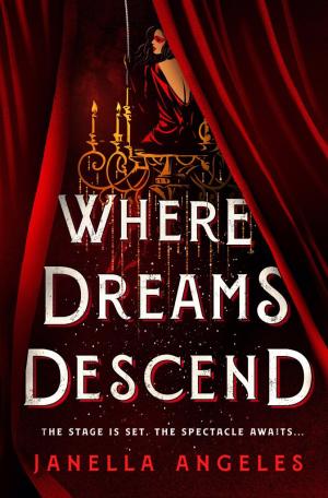 Where Dreams Descend (Kingdom of Cards #1) Free PDF Download