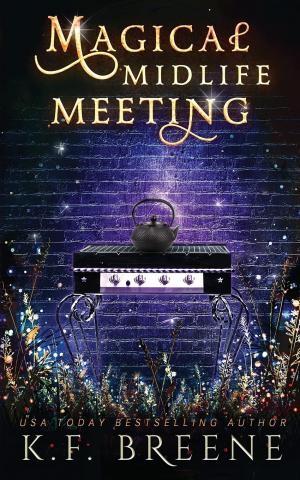 Magical Midlife Meeting (Leveling Up #5) Free PDF Download