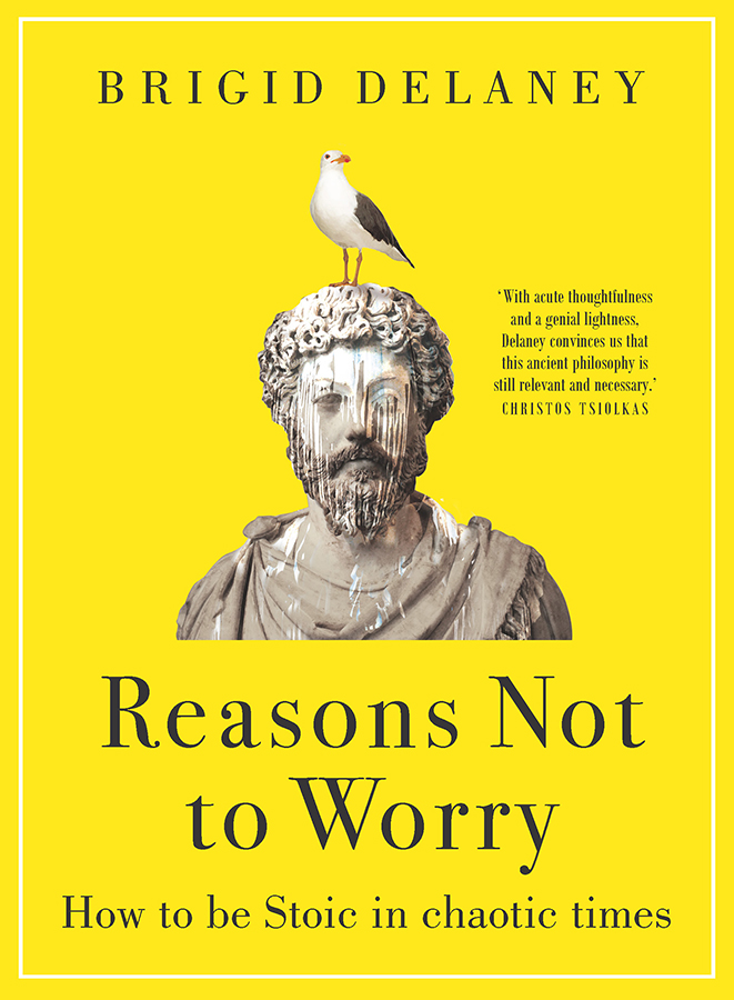 Reasons Not to Worry by Brigid Delaney Free PDF Download