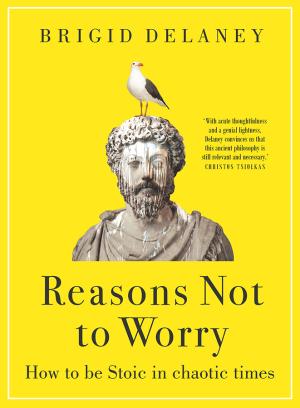 Reasons Not to Worry by Brigid Delaney Free PDF Download