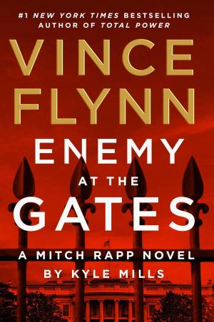 Enemy at the Gates (Mitch Rapp #20) Free PDF Download