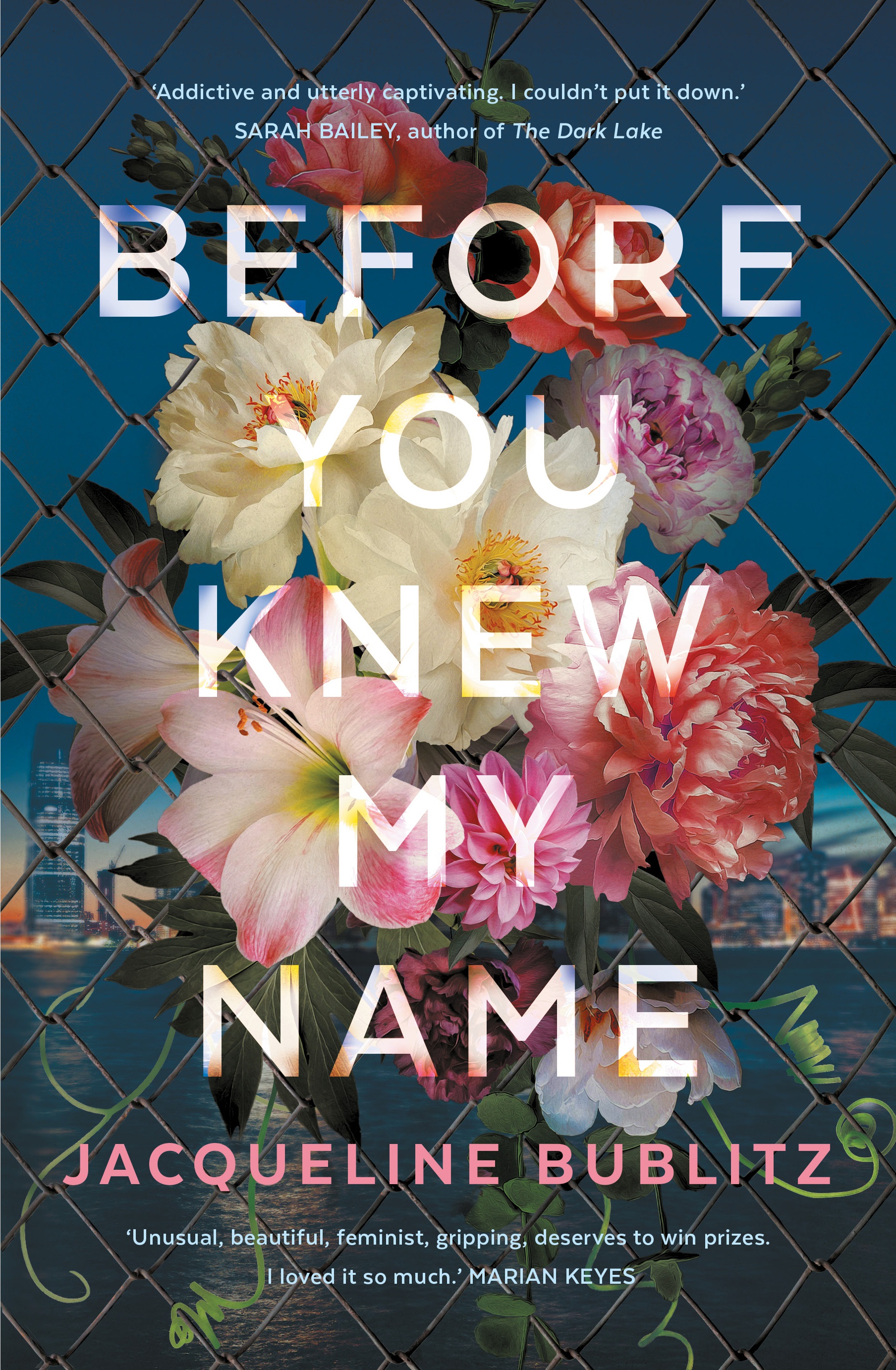 Before You Knew My Name Free PDF Download