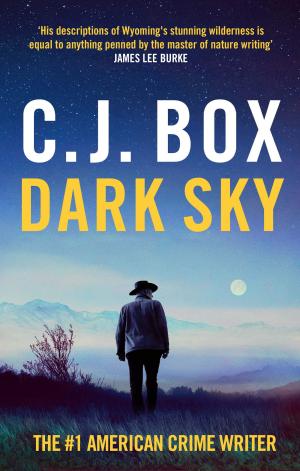 Dark Sky (Joe Pickett #21) Free PDF Download