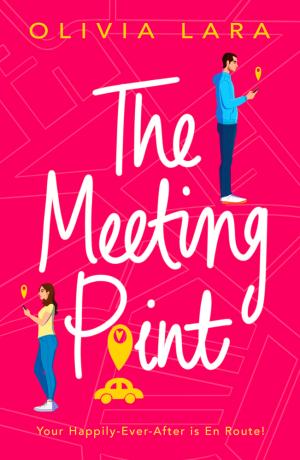 The Meeting Point by Olivia Lara Free PDF Download