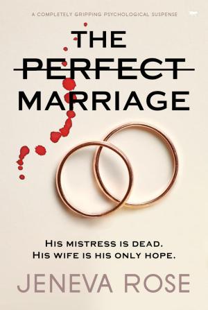 The Perfect Marriage Free PDF Download