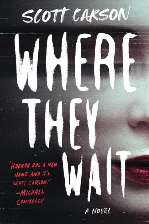 Where They Wait Free PDF Download