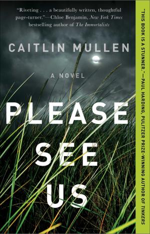 Please See Us by Caitlin Mullen Free PDF Download