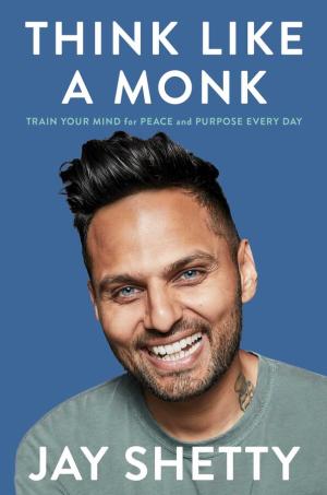 Think Like a Monk Free PDF Download