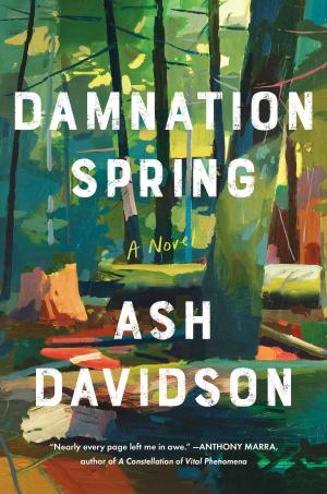 Damnation Spring by Ash Davidson Free PDF Download