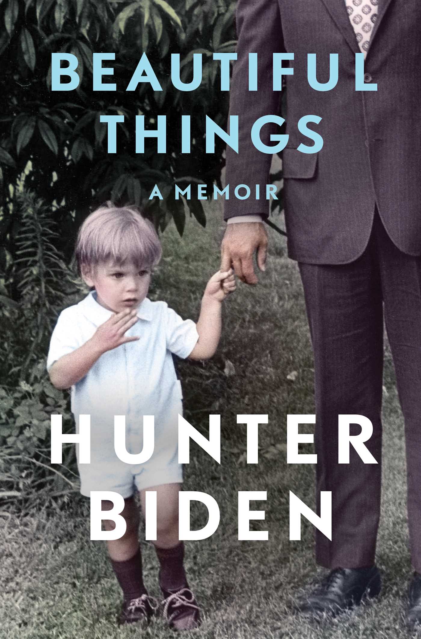 Beautiful Things by Hunter Biden Free PDF Download