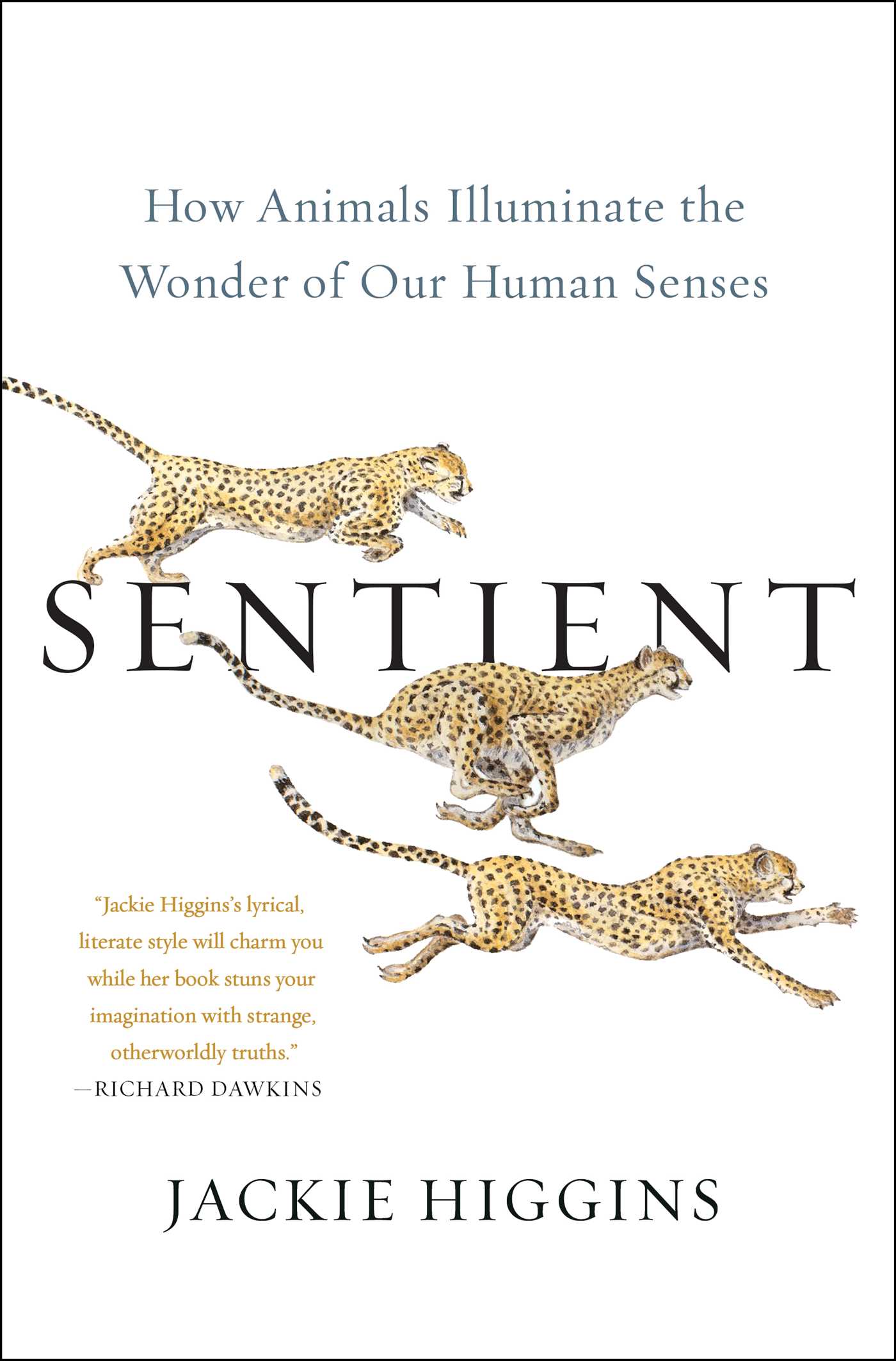 Sentient by Jackie Higgins Free PDF Download