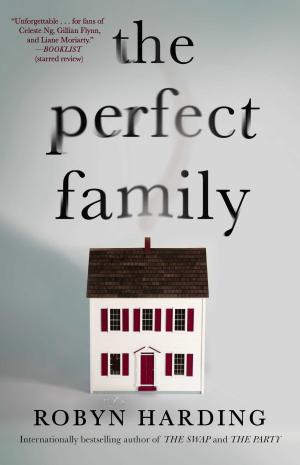 The Perfect Family Free PDF Download