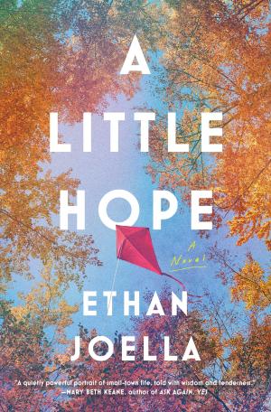 A Little Hope by Ethan Joella Free PDF Download