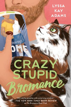 Crazy Stupid Bromance #3 Free PDF Download