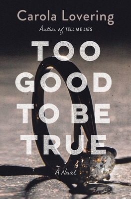 Too Good to Be True Free PDF Download