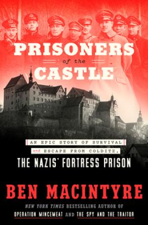 Prisoners of the Castle Free PDF Download