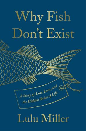 Why Fish Don't Exist Free PDF Download