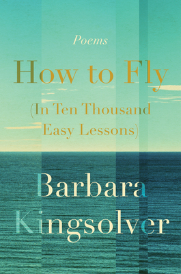 How to Fly (in Ten Thousand Easy Lessons) Free PDF Download