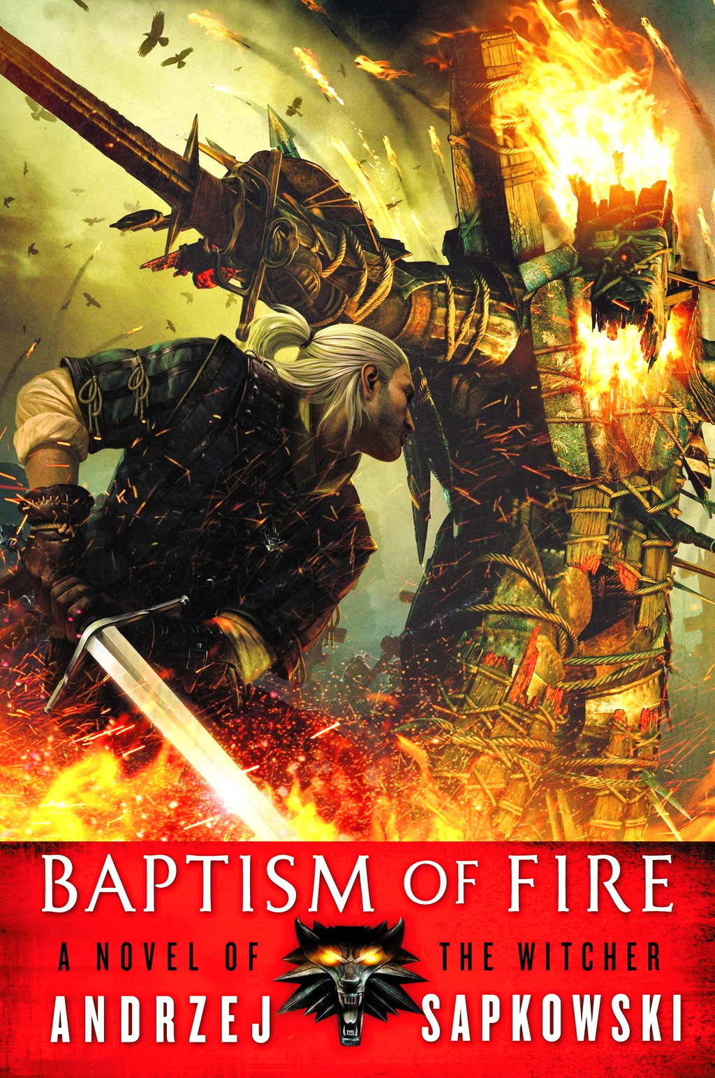 Baptism of Fire (The Witcher #5) Free PDF Download