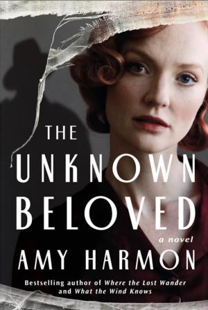 The Unknown Beloved Free PDF Download