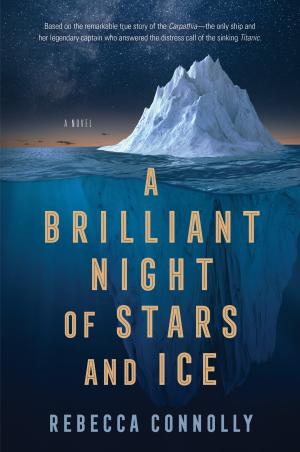 A Brilliant Night of Stars and Ice Free PDF Download