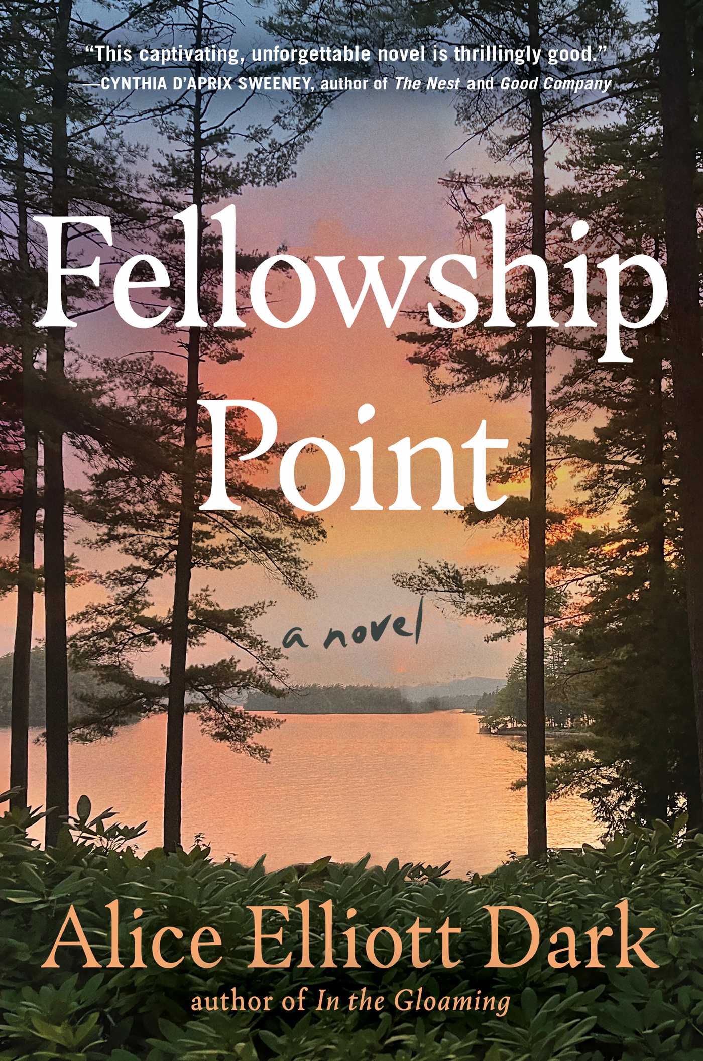 Fellowship Point by Alice Elliott Dark Free PDF Download