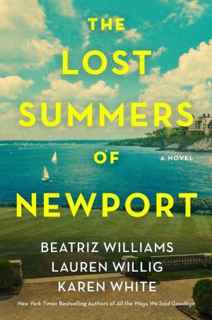 The Lost Summers of Newport Free PDF Download