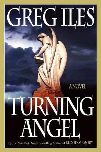 Turning Angel (Penn Cage #2) Free PDF Download