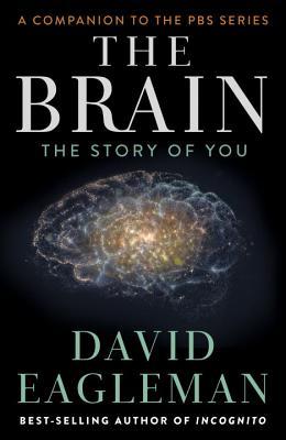 The Brain by David Eagleman Free PDF Download