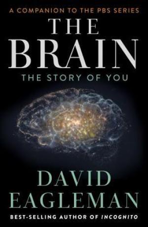 The Brain by David Eagleman Free PDF Download