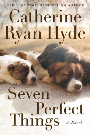 Seven Perfect Things Free PDF Download