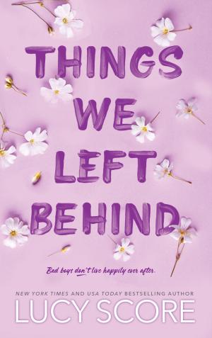 Things We Left Behind (Knockemout #3) Free PDF Download