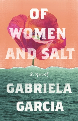 Of Women and Salt Free PDF Download