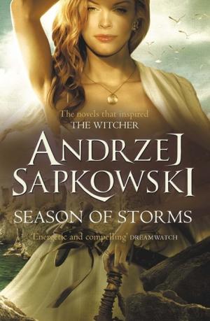 Season of Storms (The Witcher #8) Free PDF Download