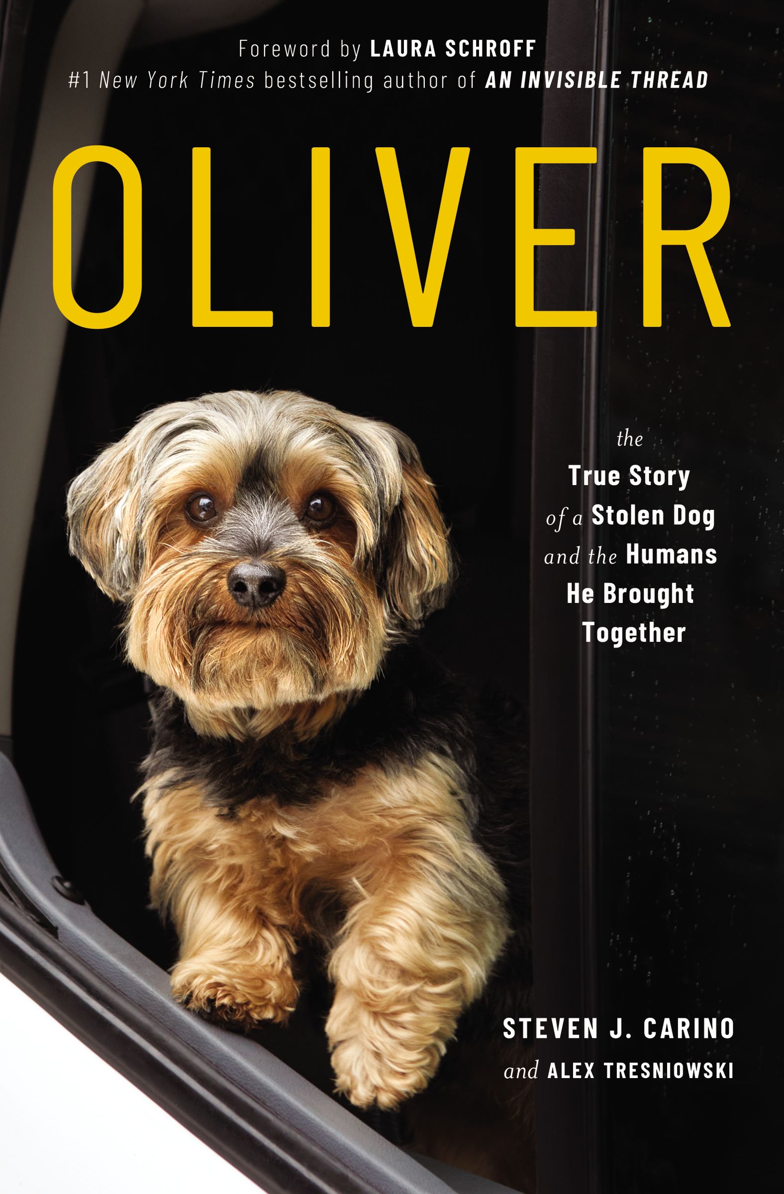 Oliver by Steven J. Carino , Alex Tresniowski Free PDF Download