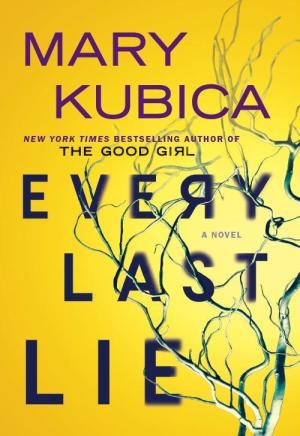 Every Last Lie by Mary Kubica Free PDF Download