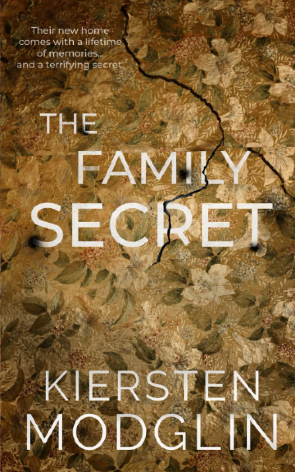 The Family Secret Free PDF Download