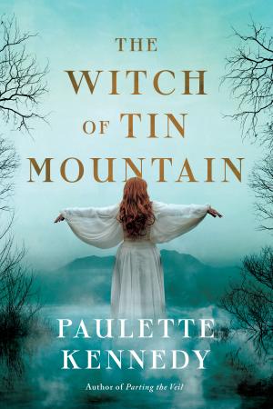 The Witch of Tin Mountain Free PDF Download