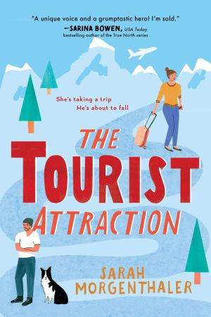 The Tourist Attraction #1 Free PDF Download