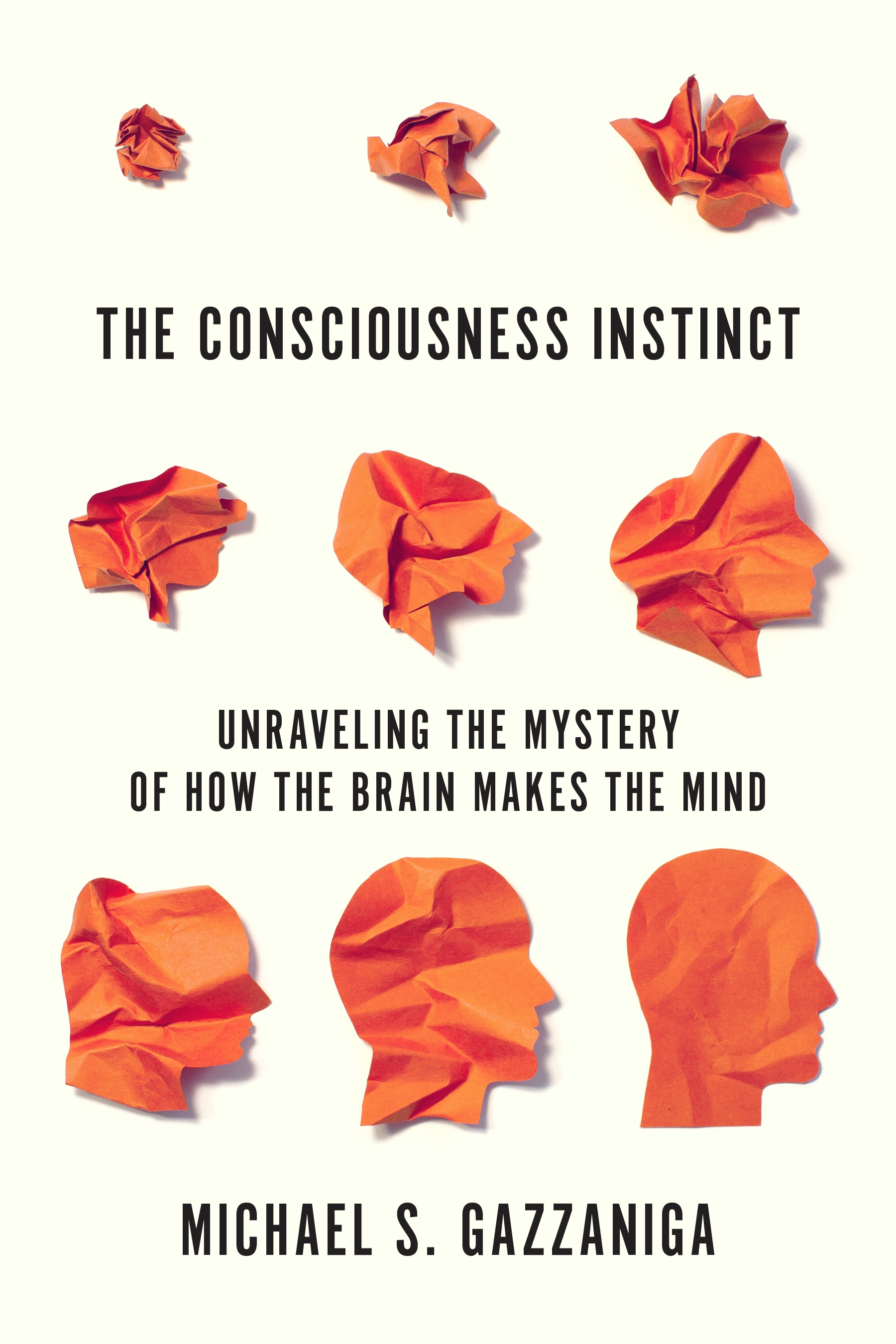 The Consciousness Instinct Free PDF Download