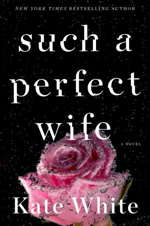 Such a Perfect Wife Free PDF Download