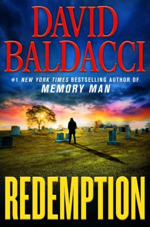 Redemption (Amos Decker #5) Free PDF Download